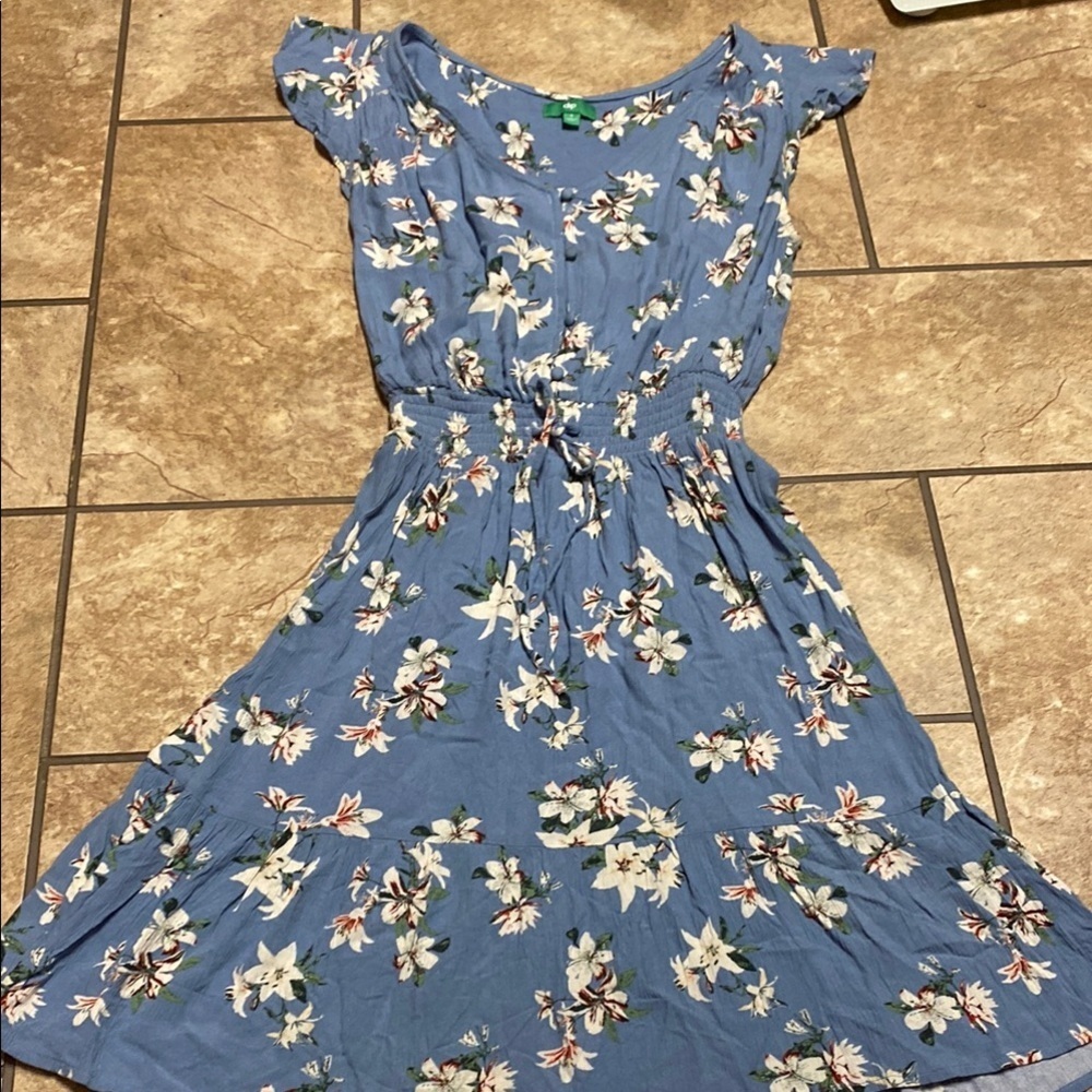 Floral Blue Dress with White Accents Summer Flutter Sleeves Fairycore Soft